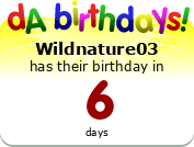 My birthday badge